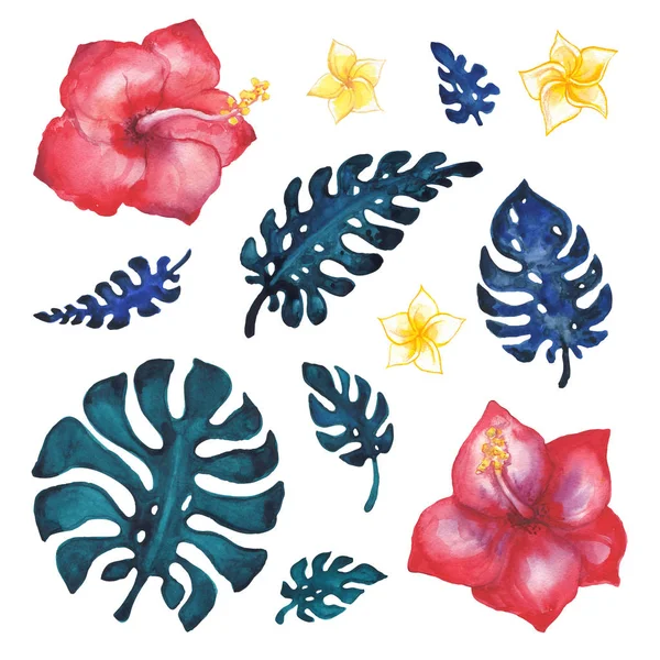 Feuilles de palmier tropical, illustration aquarelle — Photo