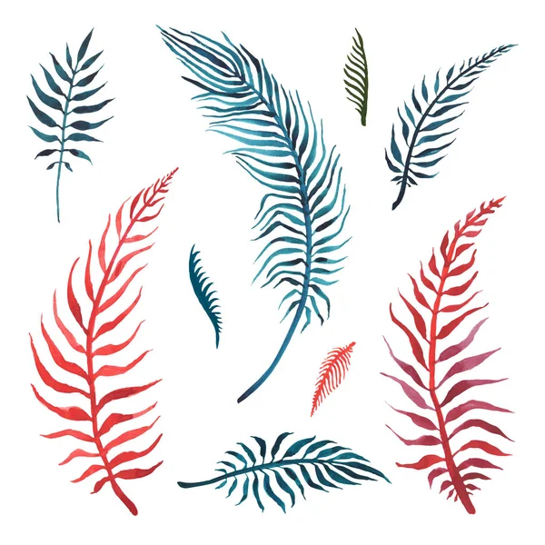 Tropiska palmblad, akvarell illustration — Stockfoto