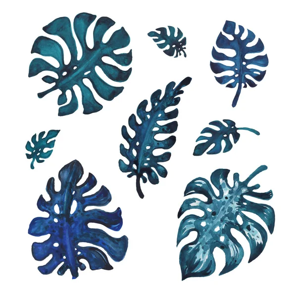 Feuilles de palmier tropical, illustration aquarelle — Photo