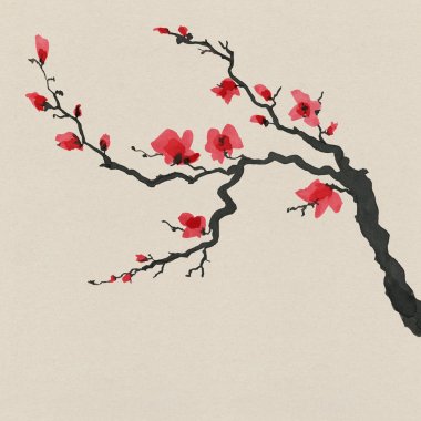 Sakura ağacı Japon tarzı içinde. Suluboya el boyama çizim