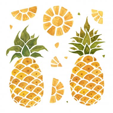 Ananas. Suluboya resim.