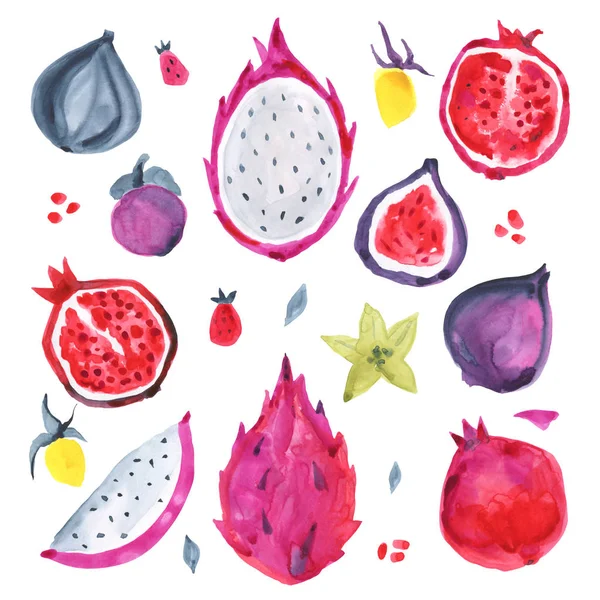 Acquerello frutta esotica. Illustrazione disegnata a mano — Foto Stock