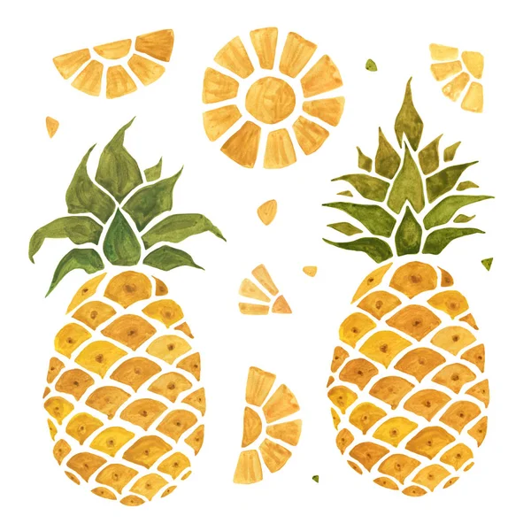 Pineapple. Watercolor illustration. — Stock Photo, Image