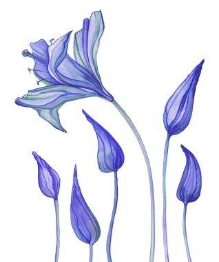 el çekilmiş soyut çiçek