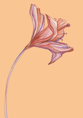 el çekilmiş soyut çiçek