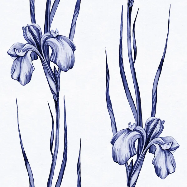 Aquarel patroon met lente iris bloemen — Stockfoto