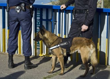 Polis köpeği polis memuru ile