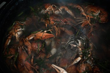 Kırmızı haşlanmış kerevit. Doğal gıda