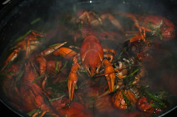 Crawfish cozido vermelho. Alimentos naturais — Fotografia de Stock