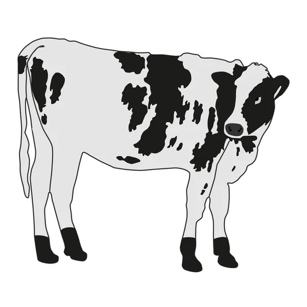 Illustration vectorielle de vache tachetée — Image vectorielle