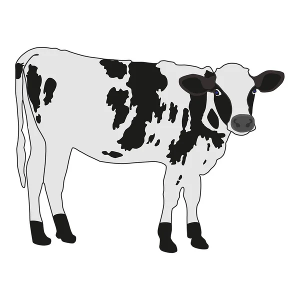 Koe vectorillustratie gespot — Stockvector