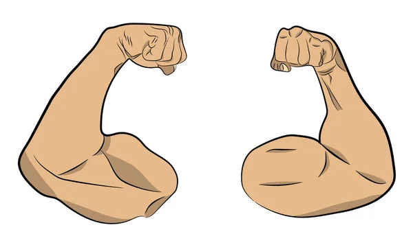 Inflated muscle hands vector drawing illustration — Stock Vector