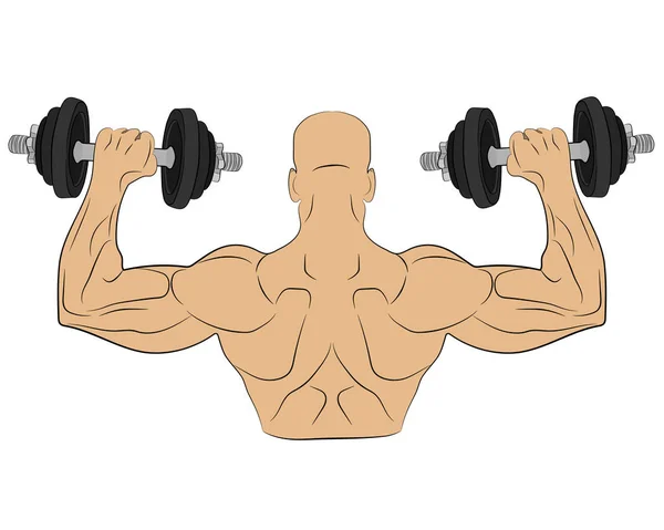 Muscle man with barbell. body building concept vector drawing illustration — Stock Vector