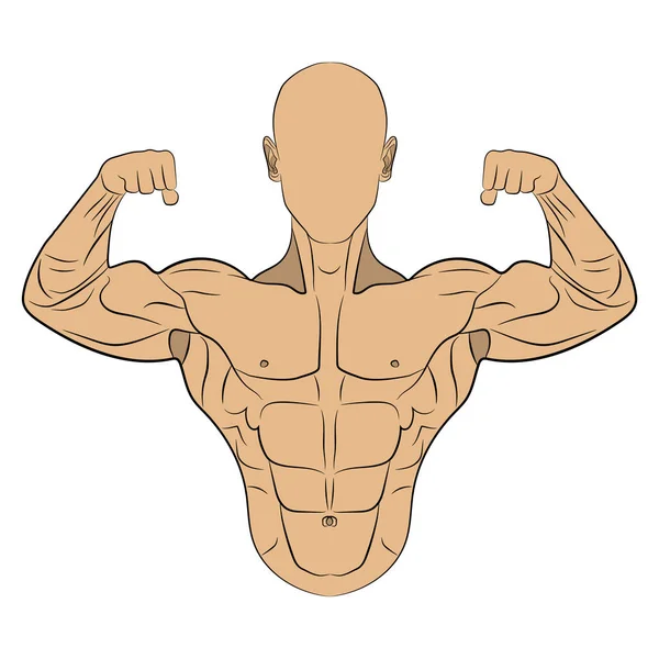 Inflated body muscle man vector drawing illustration — Stock Vector