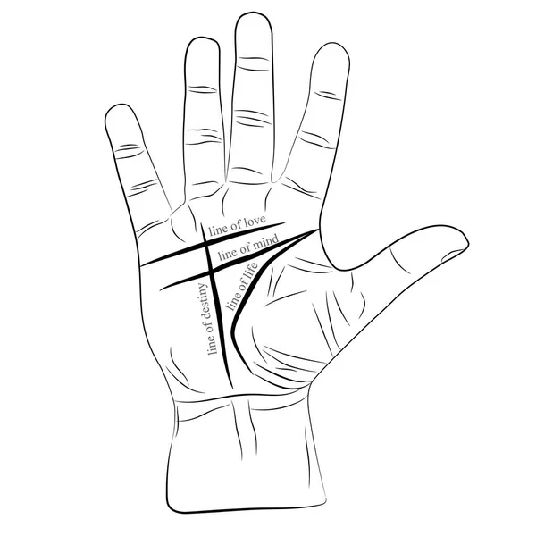 Chiromancy Hand mit Linien des Lebens, der Liebe, des Geistes und des Schicksals. Palmistry Vektor Zeichnung Illustration — Stockvektor