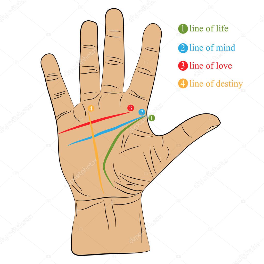 Chiromancy hand with lines of life, love, mind and destiny. the palmistry vector drawing illustration