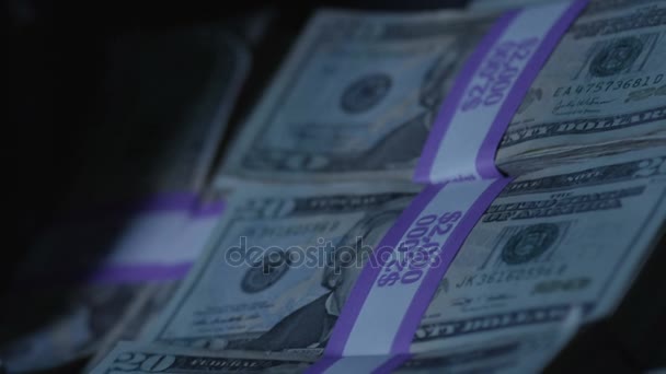 Dollarbiljetten. Contant geld. Macro, close-up, Slow Motion — Stockvideo