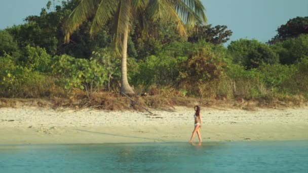 Κορίτσι walking barefoot για το νερό κατά μήκος ερημική παραλία. Γυναίκα το περπάτημα σε μια τροπική παραλία. Νεαρή κοπέλα με άδειο τροπική παραλία στο άδειο έρημη νησί. Με θέα στον ωκεανό, αργή κίνηση — Αρχείο Βίντεο