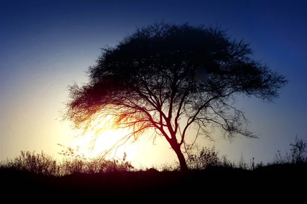 Bauernhof Seite Sonnenuntergang Landschaft — Stockfoto