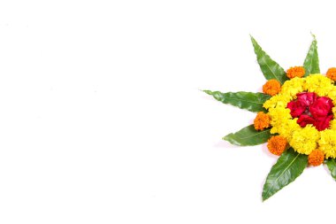 kadife çiçeği çiçek rangoli sanat