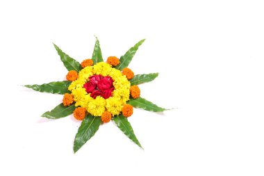 kadife çiçeği çiçek rangoli sanat