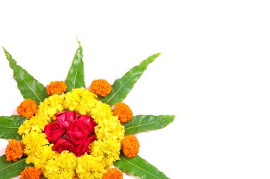 kadife çiçeği çiçek rangoli sanat