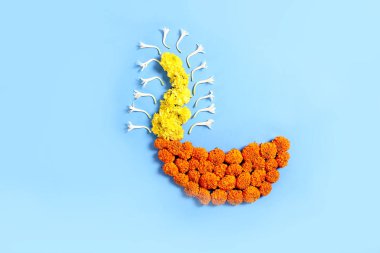 kadife çiçeği çiçek rangoli sanat