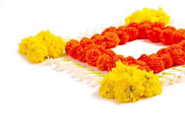 kadife çiçeği çiçek rangoli sanat