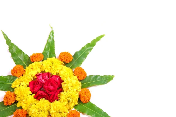 kadife çiçeği çiçek rangoli sanat