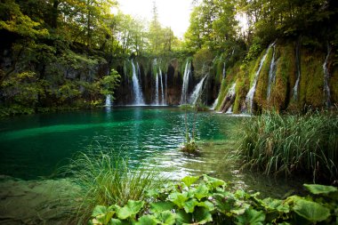 Birkaç küçük şelaleler