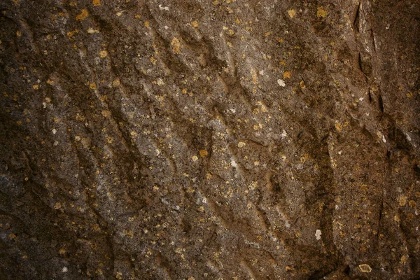 石の表面 — ストック写真