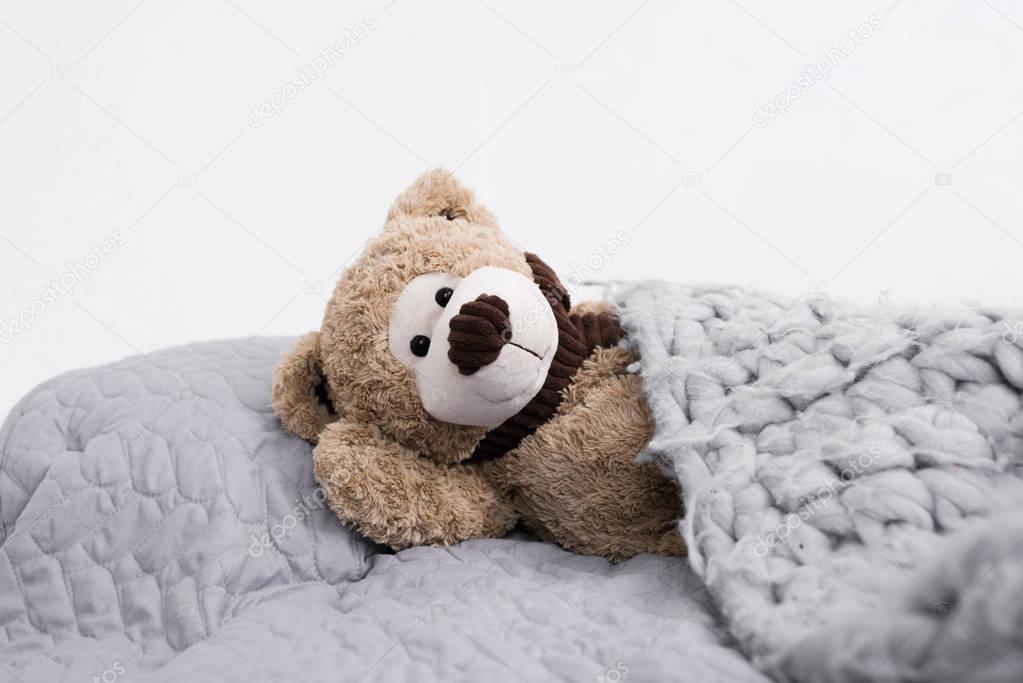 teddy bear in bed