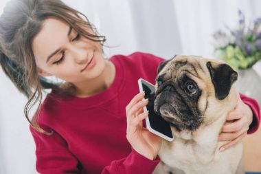 Domuz bir smartphone veren çekici genç kız