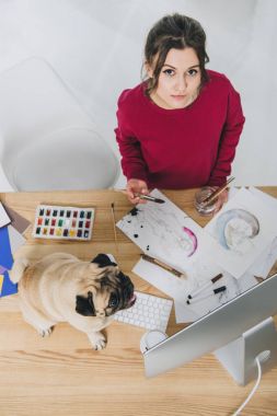 Bilgisayarla çalışma masasında şirin pug resimler üzerinde çalışma çekici genç kız