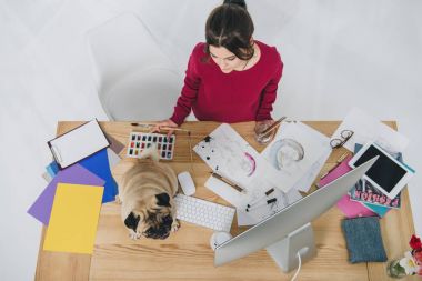 Bilgisayarla çalışma masasında şirin pug ile skeçler ile çalışan genç kadın
