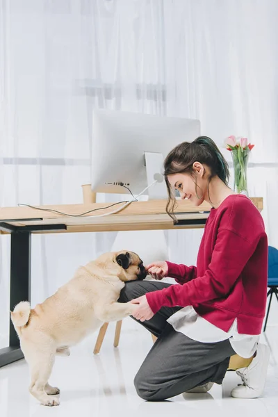 Jovem Mulher Alimentando Cão Por Mesa Espaço Trabalho — Fotografia de Stock