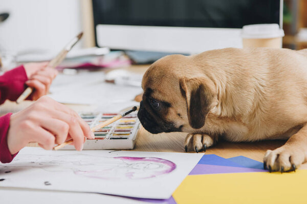 Pug sniffing brushes of female illustrator