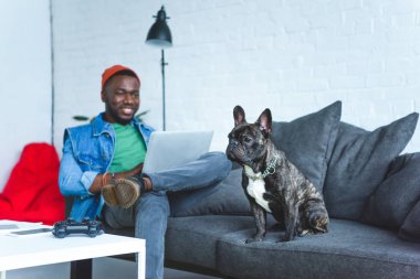 Afro-Amerikan yakışıklı bulldog ile kanepede otururken dizüstü bilgisayarda çalışma