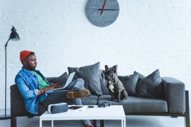 Bulldog ve masada dijital araçlar ile kanepede otururken dizüstü bilgisayarda çalışan Afrikalı-Amerikalı adam