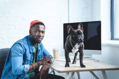 French bulldog standing on table with computer by young man freelancer clipart