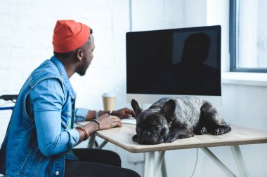 African american man working by computer while French bulldog lying on table clipart