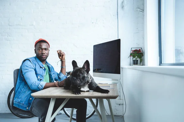 French bulldog lying on table with computer by handsome african american man