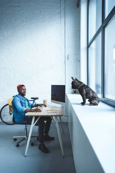 Hombre Afroamericano Guapo Trabajando Por Computadora Mientras Bulldog Francés Sentado — Foto de Stock