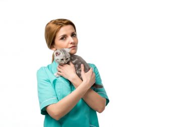 sevimli küçük kedi yavrusu tutarak ve üzerinde beyaz izole kamera bakarak ciddi veteriner 