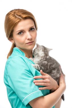 yavru kedi tutarak ve üzerinde beyaz izole kamera bakarak ciddi veteriner 