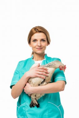 portrait of veterinarian in uniform holding chicken isolated on white clipart