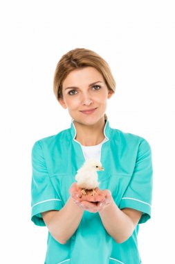 portrait of smiling veterinarian with cute little chick in hands isolated on white