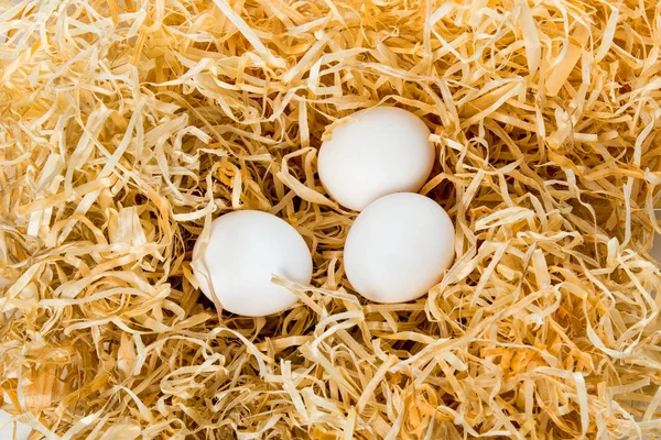 巣で生の白い鶏の卵のクローズ アップ ビュー — ストック写真