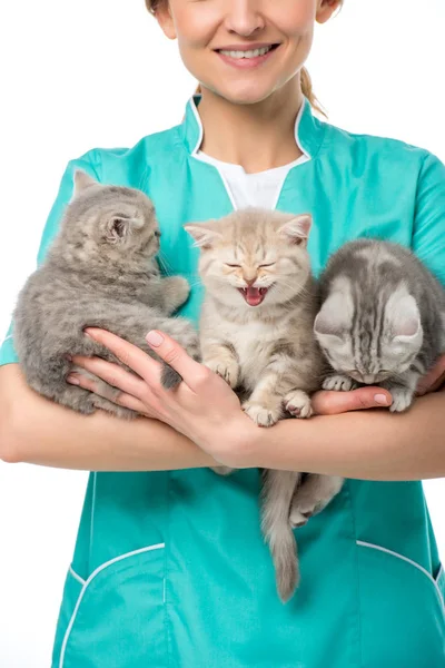 Tiro Cortado Veterinário Sorrindo Segurando Gatinhos Adoráveis Isolados Branco — Fotografia de Stock