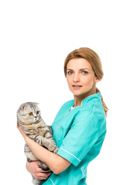 Young Veterinarian Holding Adorable Scottish Fold Cat Looking Camera Isolated — Stock Photo, Image